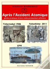 Capa do artigo Apres L Accident Atomique