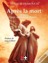 Après La Mort ; 20 Récits Pour Approcher Le Mystère