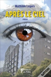 Capa do artigo Après Le Ciel