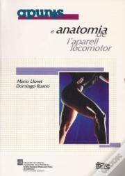 Apunts D'Anatomia De L'Aparell Locomotor