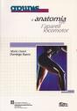 Apunts D'Anatomia De L'Aparell Locomotor - Preview