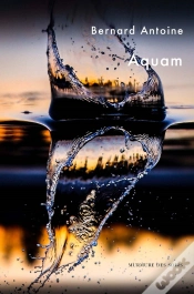 Capa do artigo Aquam