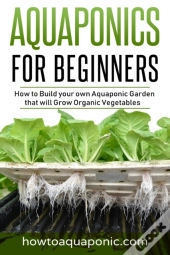 Aquaponics For Beginners