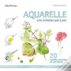 Capa do artigo Aquarelle