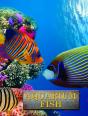 Aquarium Fish - Preview