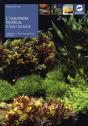 Aquarium Tropical D'Eau Douce (L) - Preview