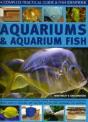 Aquariums And Aquarium Fish - Preview
