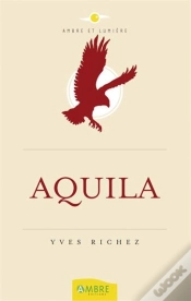 Capa do artigo Aquila