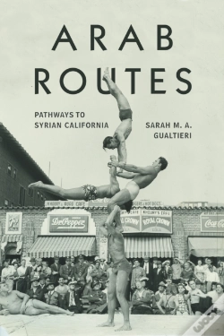Capa do artigo Arab Routes