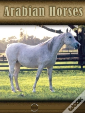 Capa do artigo Arabian Horses