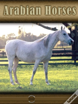 Capa do artigo Arabian Horses
