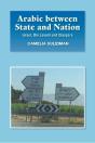 Arabic Between State And Nation - Preview