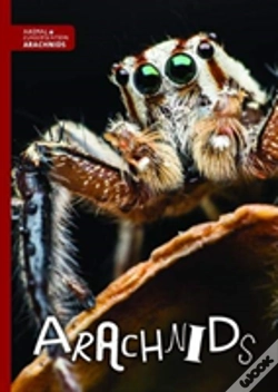 Capa do artigo Arachnids