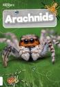 Arachnids - Preview