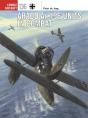 Arado Ar 196 Units In Combat - Preview