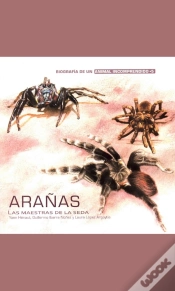 Capa do artigo Arañas