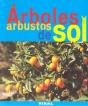 Árboles Y Arbustos De Sol - Preview