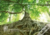 Capa do artigo Arbracadabra : Arbres Et Forets, Expressions Imaginaires & Inspirations Litteraires