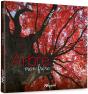 Arbre Mon Frere - Preview