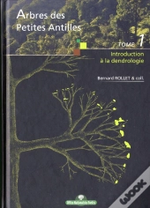 Arbres Des Petites Antilles T.1 Introduction A La Dendrologie