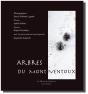 Arbres Du Mont Ventoux - Preview