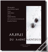 Arbres Du Mont Ventoux