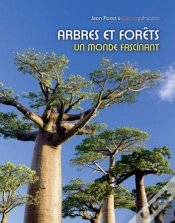 Capa do artigo Arbres Et Forêts ; Un Monde Fascinant