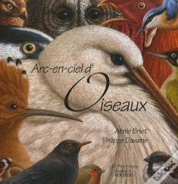 Capa do artigo Arc-En-Ciel D'Oiseaux