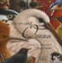 Arc-En-Ciel D'Oiseaux - Preview