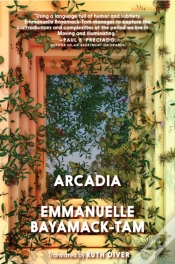 Capa do artigo Arcadia