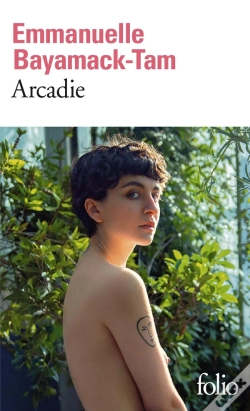 Capa do artigo Arcadie