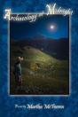 Archaeology At Midnight - Preview