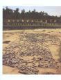 Archeologie Des Sanctuaires En Gaule - Preview