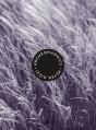 Archeophonics - Preview