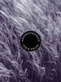 Archeophonics - Preview