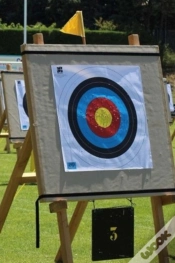 Capa do artigo Archery
