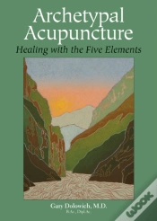Capa do artigo Archetypal Acupuncture