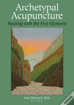 Capa do artigo Archetypal Acupuncture