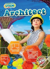 Capa do artigo Architect