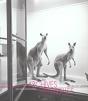 Archives Naturelles - Preview