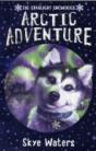 Arctic Adventure - Preview