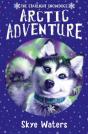 Arctic Adventure - Preview