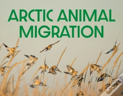 Capa do artigo Arctic Animal Migration
