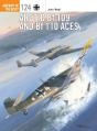 Arctic Bf 109 And Bf 110 Aces - Preview