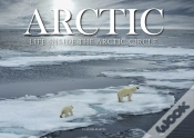 Capa do artigo Arctic
