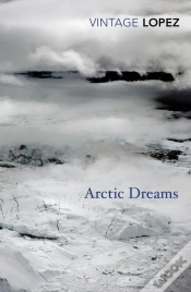 Capa do artigo Arctic Dreams