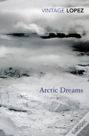 Capa do artigo Arctic Dreams