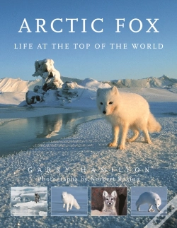 Capa do artigo Arctic Fox