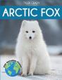 Arctic Fox - Preview