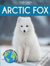 Capa do artigo Arctic Fox